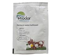 Kefir Starter Culture | Mesophilic & Thermophilic Blend with Yeasty Aroma & CO₂ Formation | Debaryomyces, Lactococcus, Leuconostoc, Streptococcus | For 1 L/3L Milk (For 1L milk)