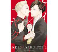 Kei X Yaku: Bound By Law 1 (KEI X YAKU BOUND BY LAW GN)