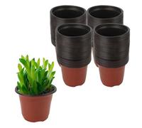 KEILEOHO 200 PCS 4 Inch Plastic Plant Pots, 10cm Seedling Nursery Plant Pots, Small Flower Pots for Vegetables, Red