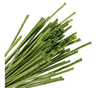 KEILEOHO 400 PCS Floral Stem Wire 14 Gauge 15.75 Inches Length, Green Floral Wire, Floral Paper Wrapped Wire for Flower Making, DIY Floral Arrangements and Decorations