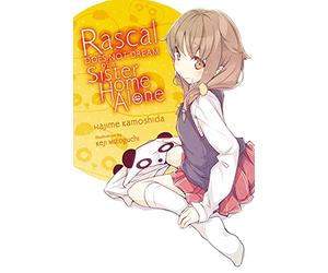 Keji Mizoguchi - Rascal Does Not Dream of a Sister Home Alone (light novel): Volume 5 (Rascal Does Not Dream (Light Novel))