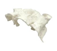 Kelisdi Sinking PETG Fish Shelter with Wide Tunnel Openings, Stress Relief Habitat for Saltwater Aquariums Aquariums Cave