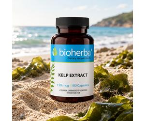 KELP Extract 150mcg Dietary Supplement & Selenium 100 Caps