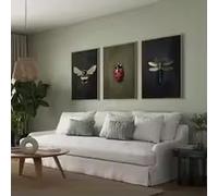 KEMEIQI Vintage Insect Wall Art Bee Ladybug Dragonfly Poster Prints Rustic Cottagecore Decor Gallery Dark Academia Aesthetic Art(70x110cmx3/Frameless)