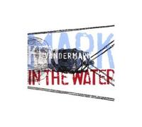 Ken Vandermark - Mark In The Water
