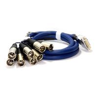 kenable 25 Pin D Sub Male to Eight XLR 3 Pin Plug Audio Cable Lead 2m