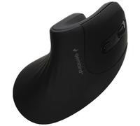 Kenable Gembird Wireless 2.4Ghz 6 Button Ergonomic Optical Mouse Home Or Office