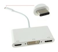 Kenable Usb 3.1 Type C To Hdmi 4K Displayport & Dvi 24+5 Adapter 15Cm