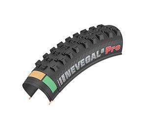 Kenda Nevegal2 Tire