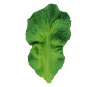 Kendall the Cabbage Leaf Teether, by OLI & CAROL green medium solid
