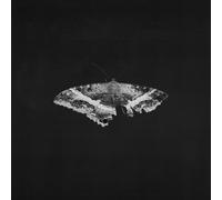 Kendrick Lamar - To Pimp A Butterfly [VINYL]