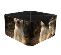 KengjuTesu Laugh Meerkat Desktop Organizer Pen Holder, Rectangular Pencil Cup for Office, Study and Makeup Stations