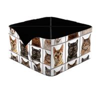 KengjuTesu Nine Cat Heads Looking at You Pattern Desktop Organizer Pen Holder, Rectangular Pencil Cup for Office, Study and Makeup Stations