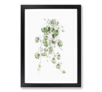 Kenilworth Ivy Flowers by Pierre-Joseph Redoute Framed Print | A2 Black Framed Wall Art | Ready to Hang | Modern Floral Picture | Living Room Bedroom Lounge Office