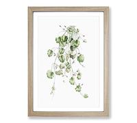 Kenilworth Ivy Flowers by Pierre-Joseph Redoute Framed Print | A2 Oak Framed Wall Art | Ready to Hang | Modern Floral Picture | Living Room Bedroom Lounge Office