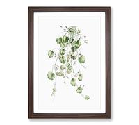 Kenilworth Ivy Flowers by Pierre-Joseph Redoute Framed Print | A2 Walnut Framed Wall Art | Ready to Hang | Modern Floral Picture | Living Room Bedroom Lounge Office