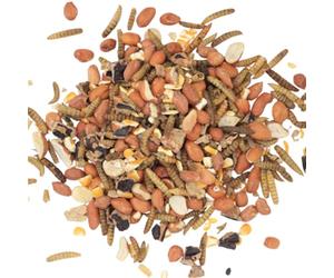 Kennedy Wild Badger Food 20kg with Whole Peanuts, Calciworms, Kibbled Maize, Dried Meal Worms & Locust Carob Beans. Badger & Fox Food Mix with Nuts, Worms & Corn.