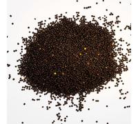 Kennedy Wild Black Rapeseed Bird Food 25kg High Protein Bird Seed for Wild Birds Rich in Vitamins & Minerals & Easy to Digest. Wild Bird Food/Birdseed for Garden Birds