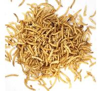 Kennedy Wild Dried Mealworms 12.55kg