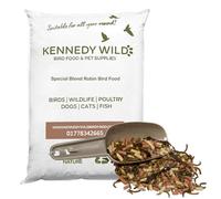 Kennedy Wild Special Blend Robin Food (20kg) Nutritious Seed, Fruit, Oat, Suet Insects & Meal Worms for Wild Birds. Ideal for Winter Month Feeding. High in Protein & Micronutrients.