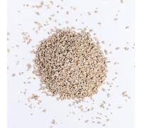 Kennedy Wild Sunflower Hearts Bird Food Chips (20kg) Wild Bird Food for Feeders, Tables & Ground Tables.