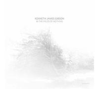 Kenneth James Gibson - In The Fields Of Nothing [VINYL]