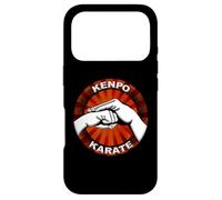 Kenpo Karate Case for iPhone 17 Pro