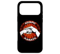 Kenpo Karate Case for iPhone 17 Pro Max
