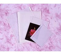 Kenro Clear Fronted Bag for Photo Storage 5.5x7.5 Inch Pack of 500 - NB021