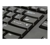 Kensington K63727UK KB100 EQ Standard Keyboard - UK