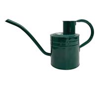 Kent & Stowe Indoor/Outdoor Watering Can Forest Green 2 Litre 70300641