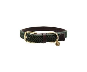 Kentucky Dogwear Dog Collar Braided Nylon Olive Green Size L 62 cm