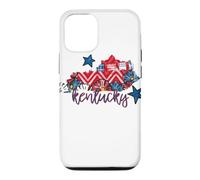 Kentucky Floral Chevron Plaid Regional Heritage Art Case for iPhone 12/12 Pro