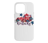 Kentucky Floral Chevron Plaid Regional Heritage Art Case for iPhone 14 Pro Max