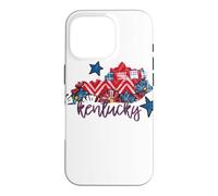 Kentucky Floral Chevron Plaid Regional Heritage Art Case for iPhone 16 Pro