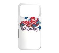 Kentucky Floral Chevron Plaid Regional Heritage Art Case for iPhone 17 Pro