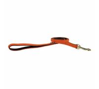 Kentucky Nylon Plaited Dog Leash 15 Mm