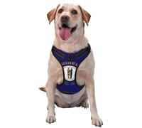 Kentucky State Flag Large Printed pet Traction Vest - Ideal for Dog Walking, Hiking, Daily Travel
