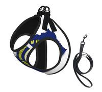 Kentucky State Flag Map Print Dog Harness Small Sized And Leash Set, Step In Soft Light Puppy Vest Breathable Mesh Pet Harness