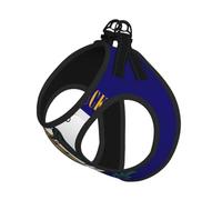 Kentucky State Flag Pet Leash Vest For Small Dogs Cats Reflective Adjustable Soft Outdoor Walking Hiking Training