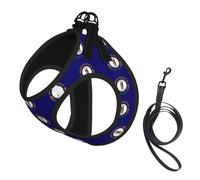 Kentucky State Flag Print Adjustable Dog Harness Collar And Leash Set, Reflective Breathable Lightweight Vest For Walking