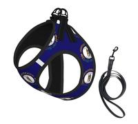 Kentucky State Flag printing Puppy Harness, Dog Harness and Leash Set, Soft Mesh Reflective Breathable Lightweight Vest-Style