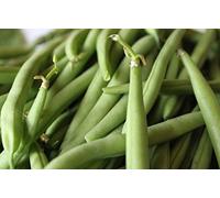 Kentucky Wonder 125 Greenpod Fagiolo Non-GMO Fave vegetali - 15 Semi