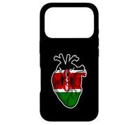 Kenya Is In My Heart Maasai Tribe Africa Case for iPhone 17 Pro