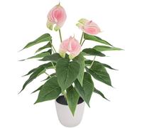 Kepfire Pink Artificial Anthurium Plant for Indoor Decoration,38 cm | Artificial Plant with Pot,Realistic Looks,Real Touch Flowers Flowers,for Home Office Garden Indoor Outdoor Decor