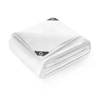 Keplin Waterproof Tarpaulin Cover Sheet 100 GSM 3X3 Clear Mesh