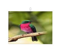 Kerala Dish Mat Small Dish Drying Mat for Home GIF Small 16 X 18 Inch