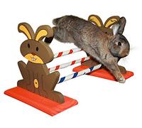 Kerbl Agility Rodent Obstacles, 62 x 33 x 34 cm