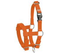 Kerbl Alpaca Headcollar Adjustable - Orange (Dimensions 17 x 18 x 4.5 cm, Weight 0.1 kg, Material 20 mm Polypropylene) 27190