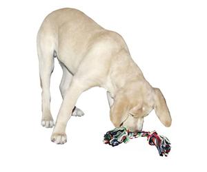 Kerbl Cotton Bone, 37 cm